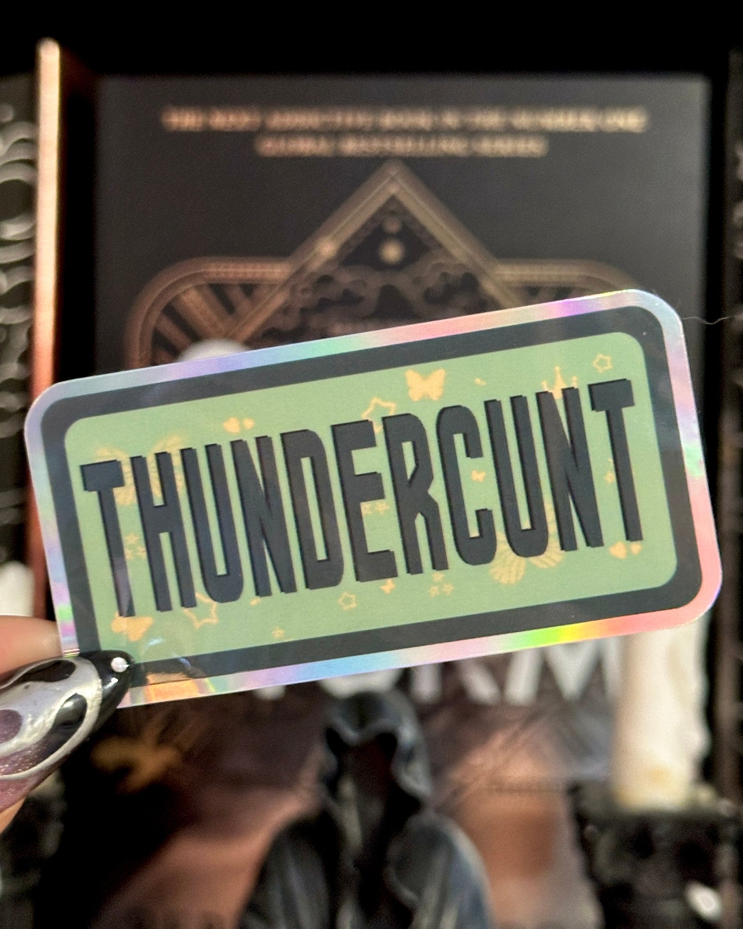 Assorted Naughty Words Waterproof Stickers