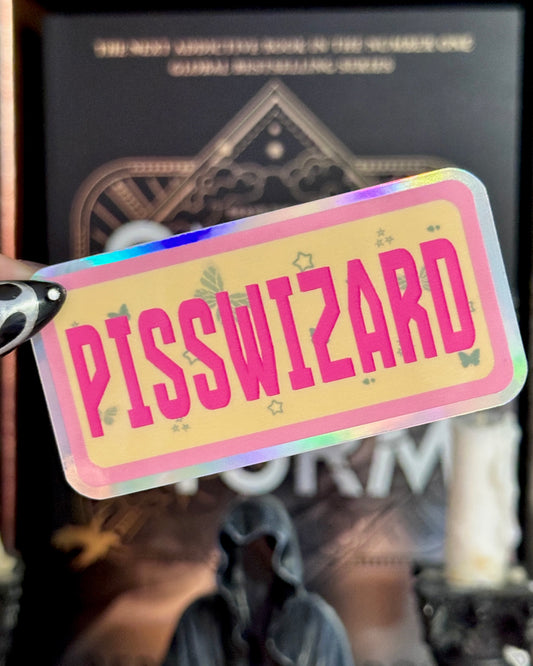 Assorted Naughty Words Waterproof Stickers