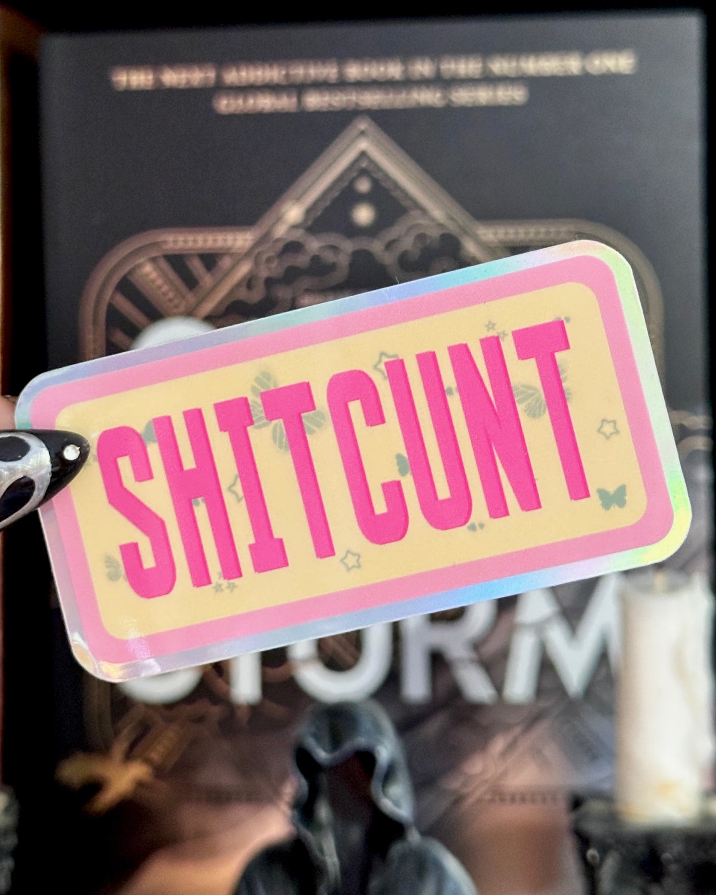 Assorted Naughty Words Waterproof Stickers