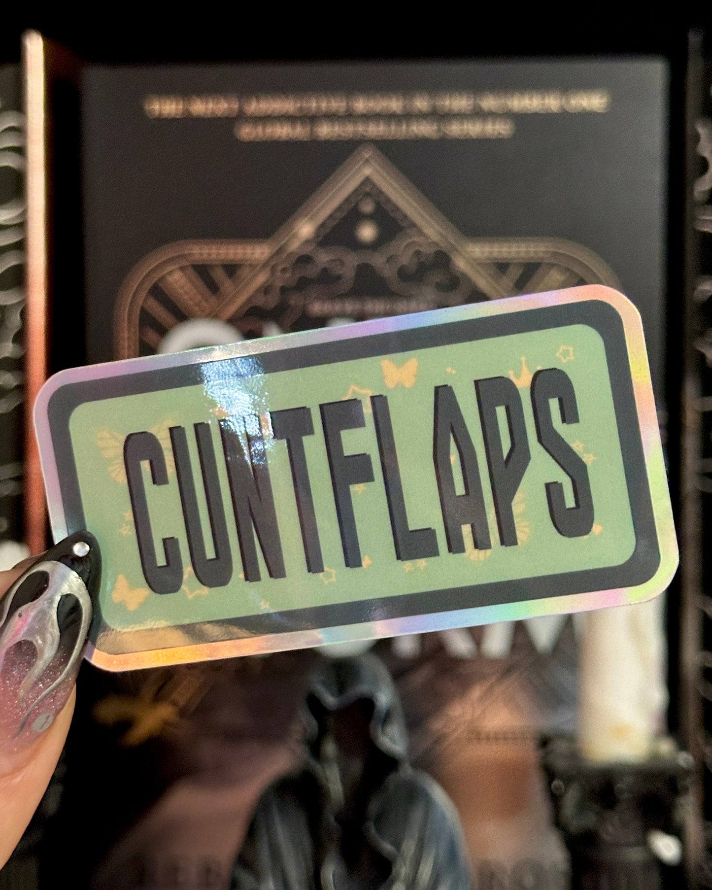 Assorted Naughty Words Waterproof Stickers