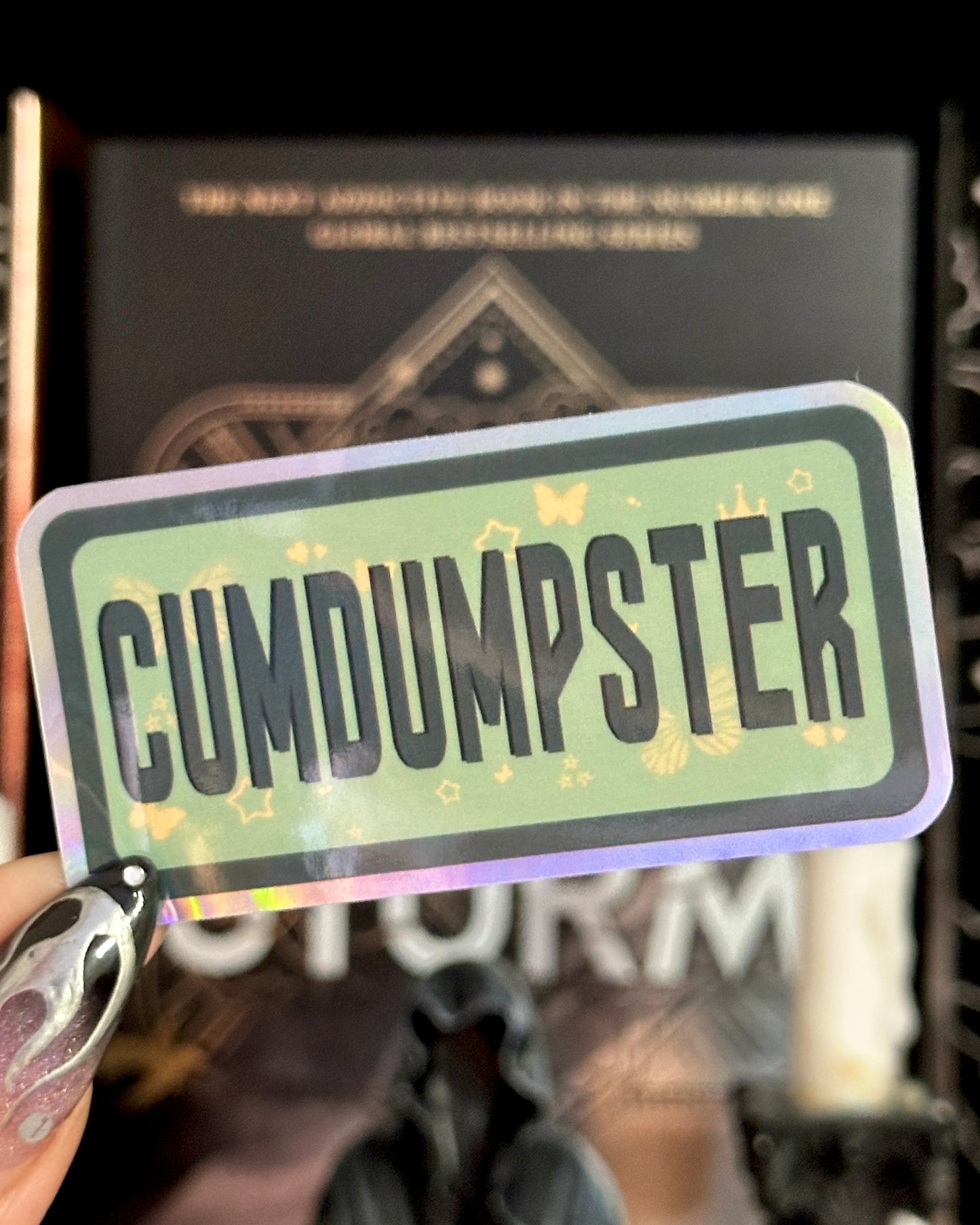 Assorted Naughty Words Waterproof Stickers